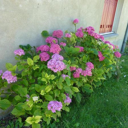 Maison Renovee Avec Cour Privee, Proche De Gannat, 3 Chambres, Animaux Acceptes, Equipements Modernes. - Fr-1-489-37 Poezat Exteriör bild